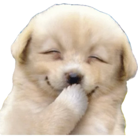 시민들