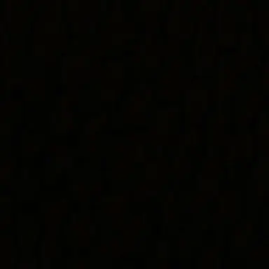 Profile image of 이예지