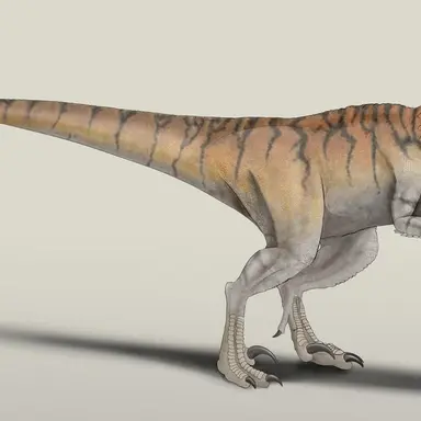 Profile image of Tiger