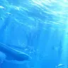 Profile image of 海