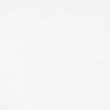 Profile image of 篠塚大輝