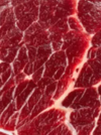 Forsaken_DieofDeathDaisuki의 あなたは新鮮な生肉になりました