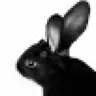 Profile image of 김지한