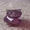 Profile image of Doesnt talk bot