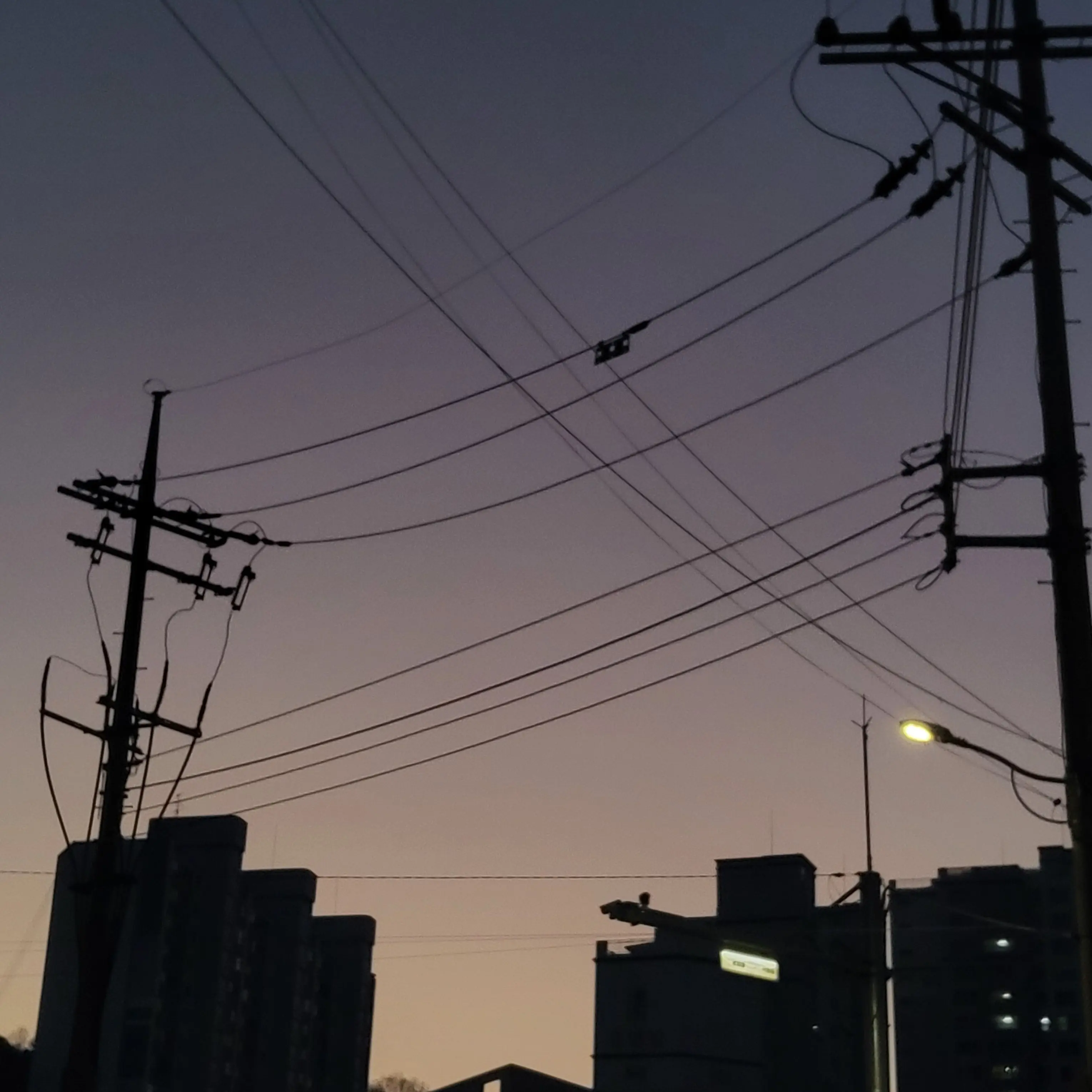 _s_의 내 자캐가 되다,잡식종