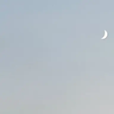 Profile image of 회원