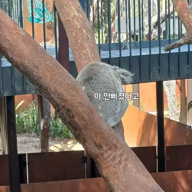 Profile image of 디스코 팡팡 MC