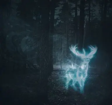 Profile image of Harry Potter