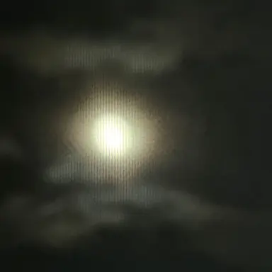 Profile image of 안정원