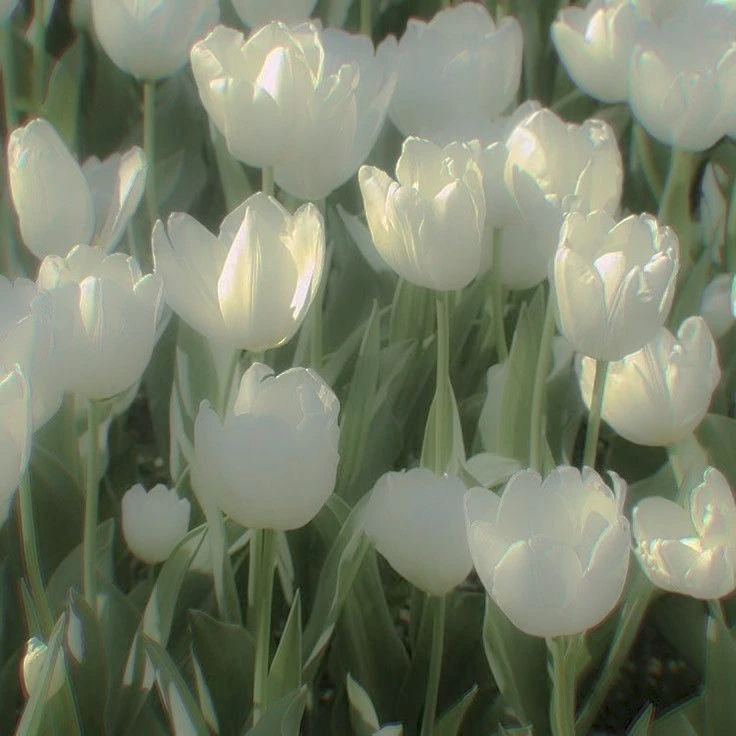 최산
