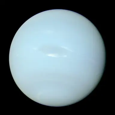 Profile image of 海王星
