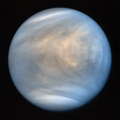 Profile image of 金星