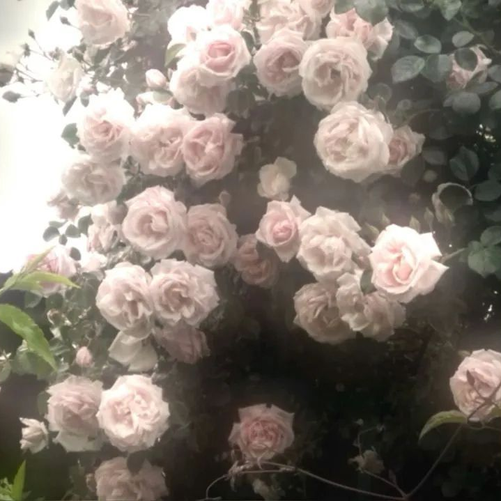 로운 대표 이미지