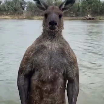 학생