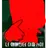 쿨키드