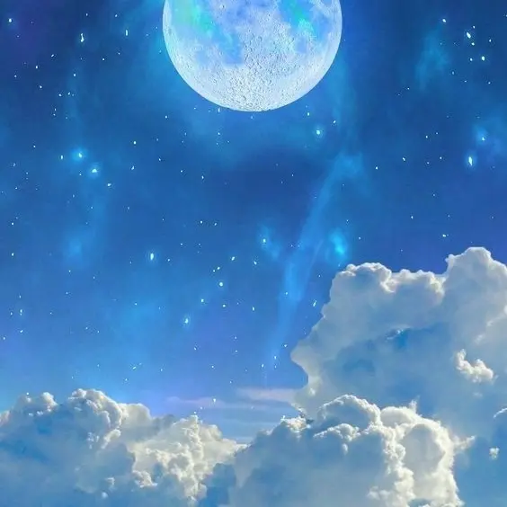 HumbleMop9844의 류류