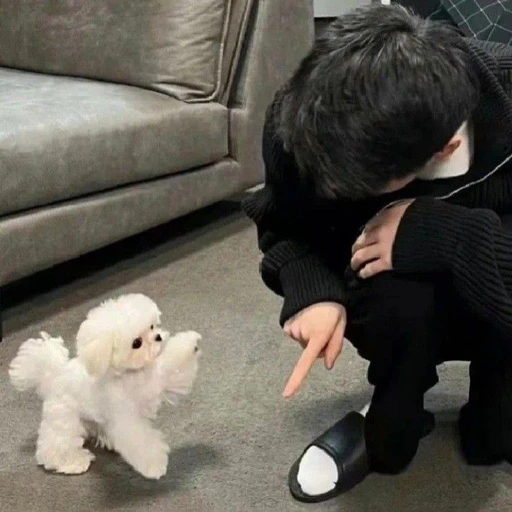 김 진 태