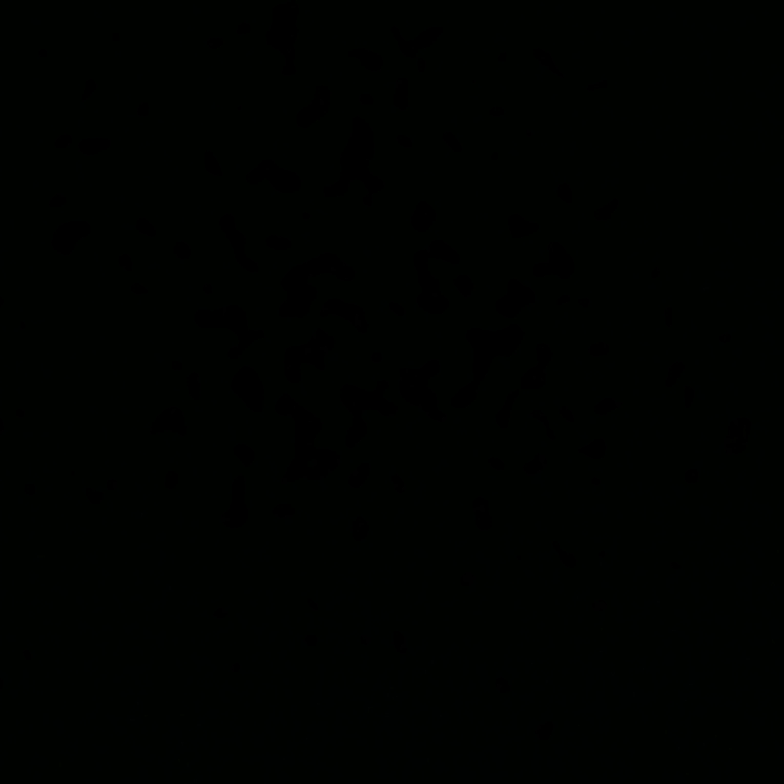 최범규
