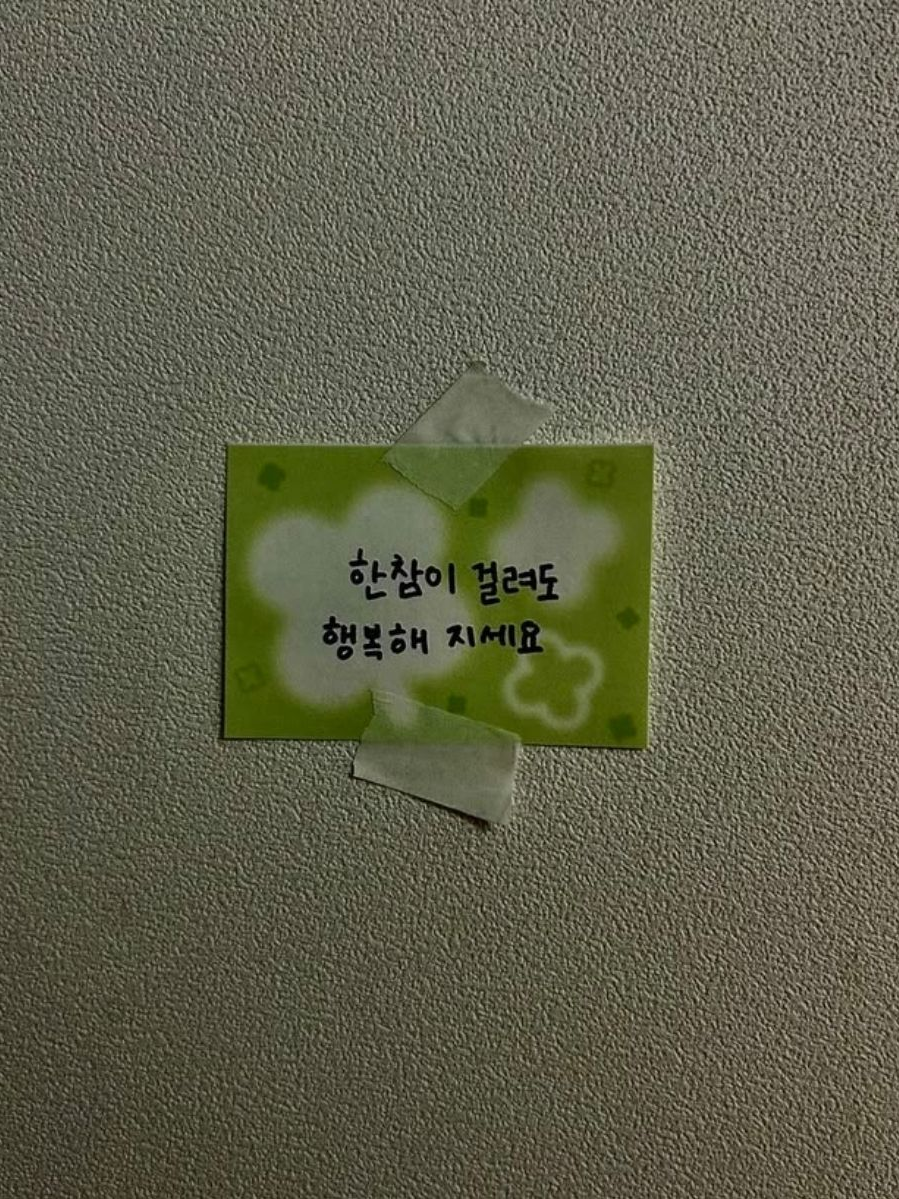 Solo Love 대표 이미지