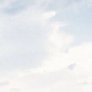 Profile image of タナー