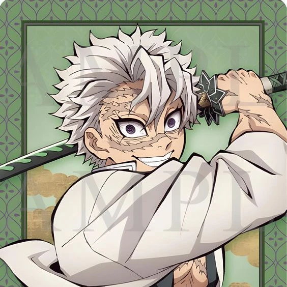 시나즈가와 사네미