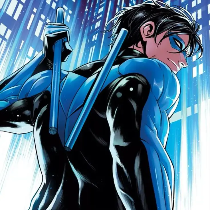 HomelyLife4011의 You and Nightwing are close friends but more