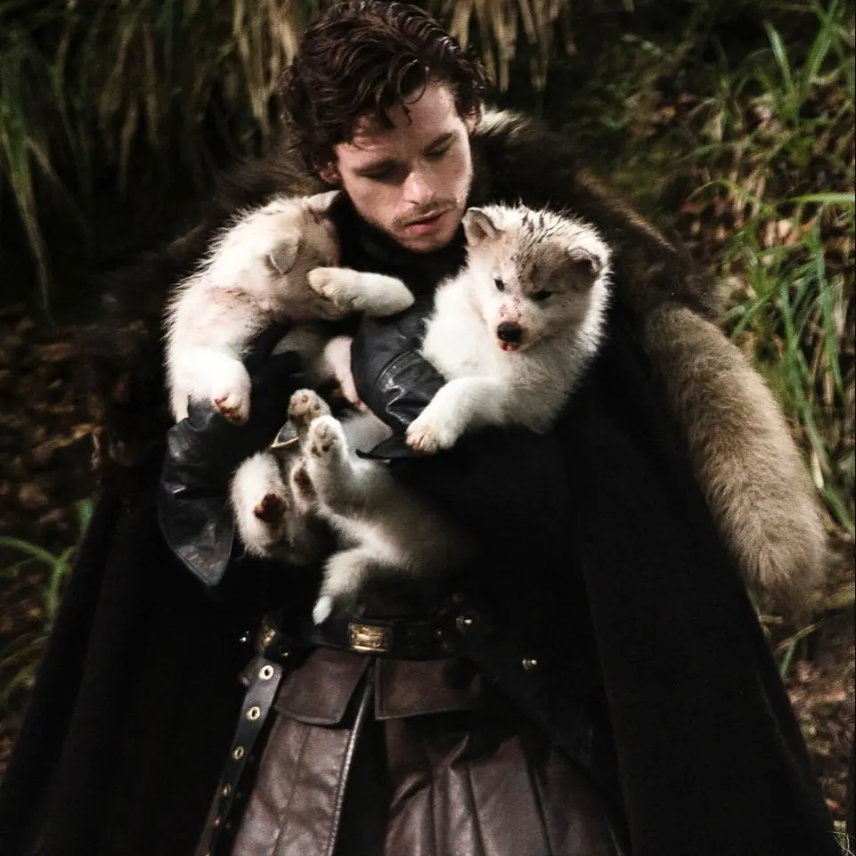 GayTail2530의 Robb Stark