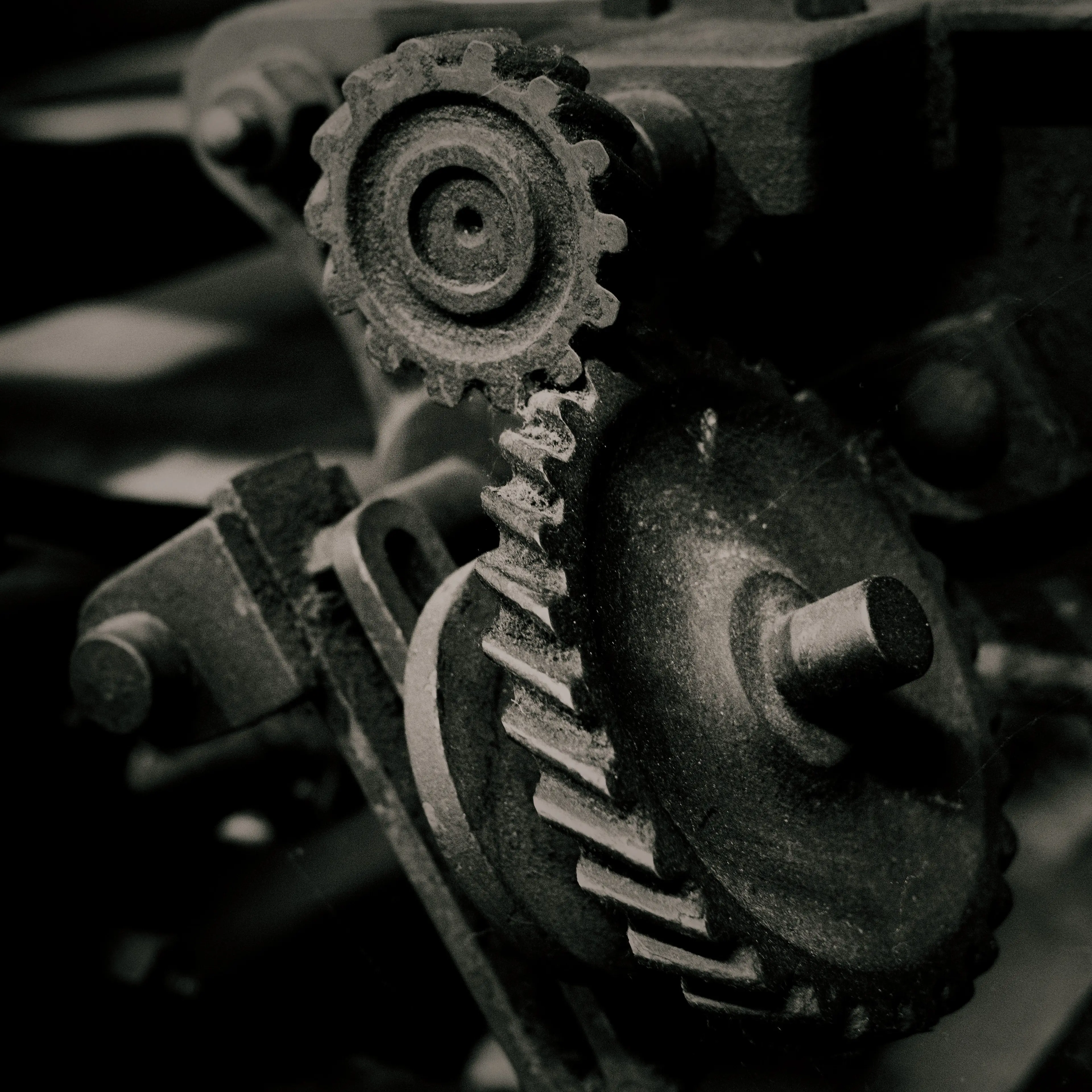 bubblebee의 人類愛