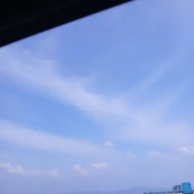 Profile image of 루아
