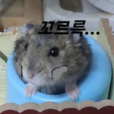 Profile image of 배고픈 찹츄