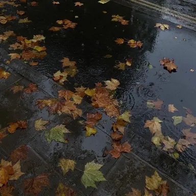 Profile image of 김승민