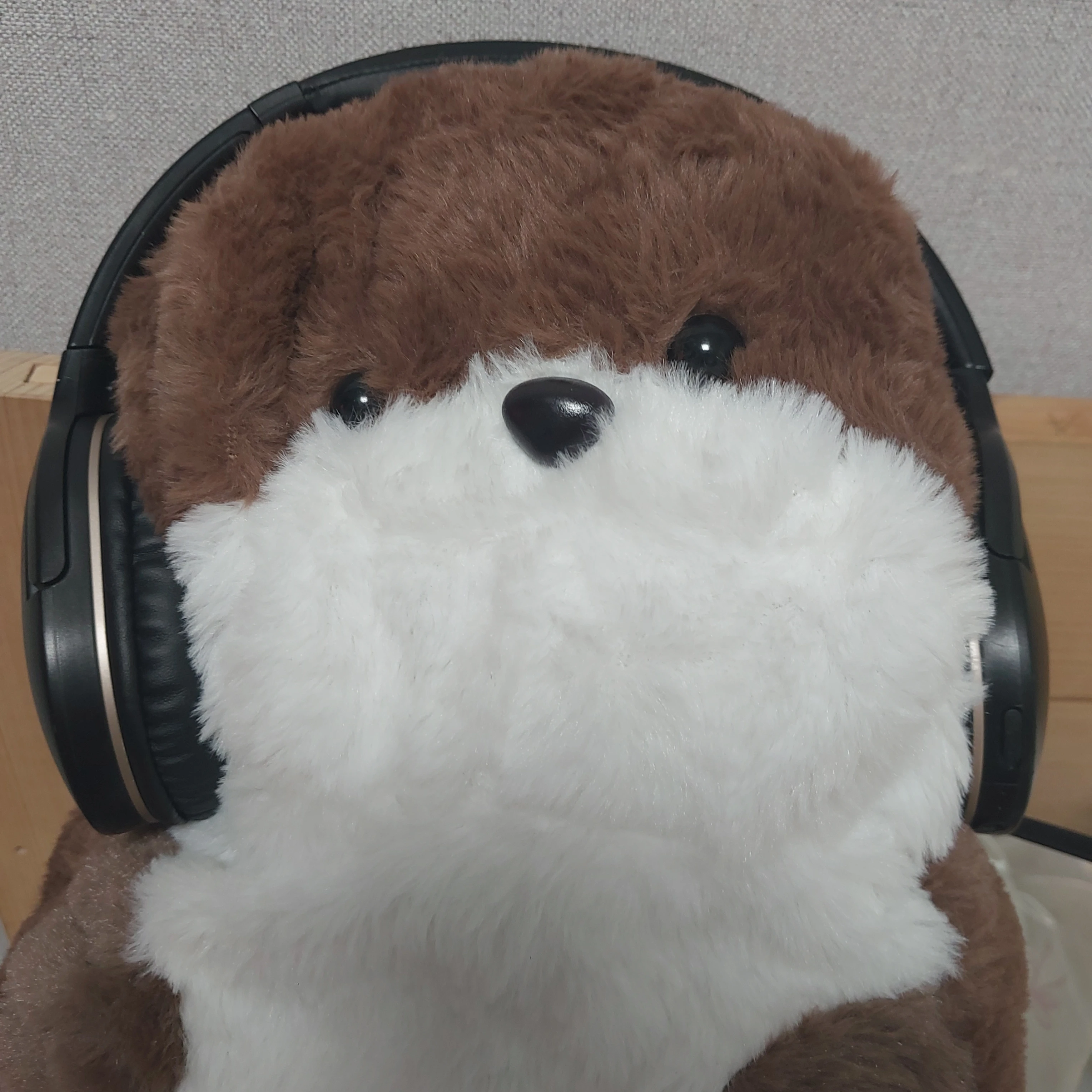 지훈
