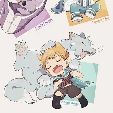 コネシマ