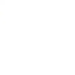 woni.won의 ㅇㅈㅇ