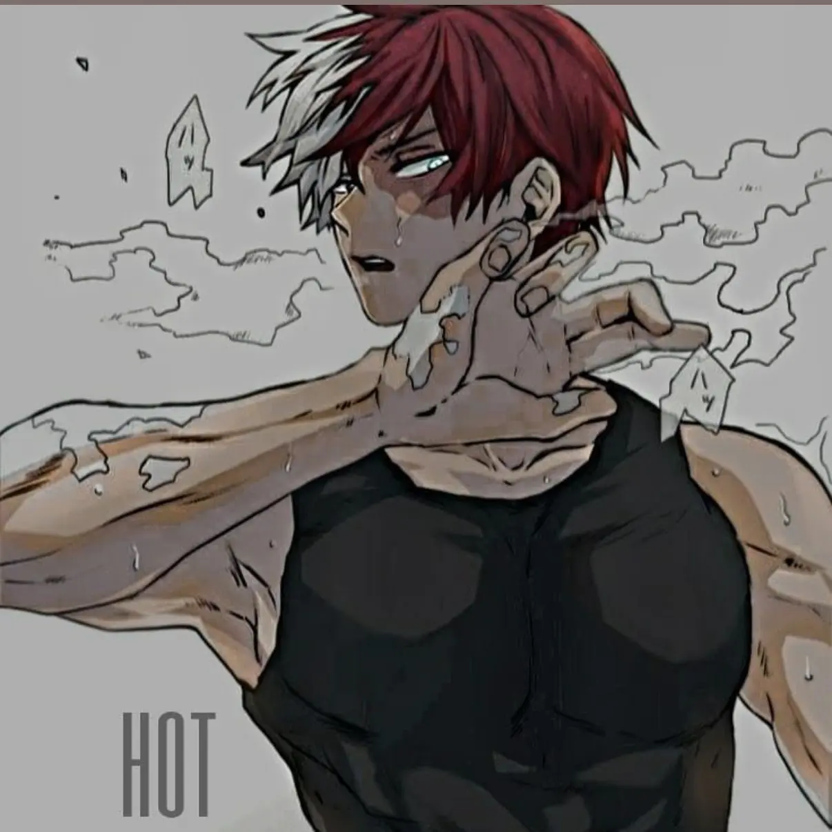 jibanyan의 冷たい轟くん