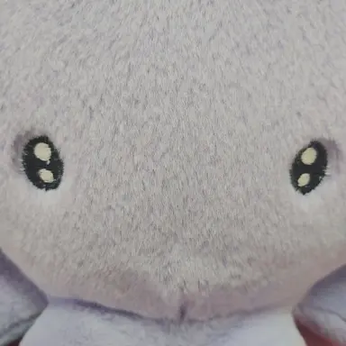 Profile image of 문어