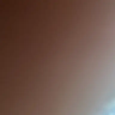 Profile image of ドイツ