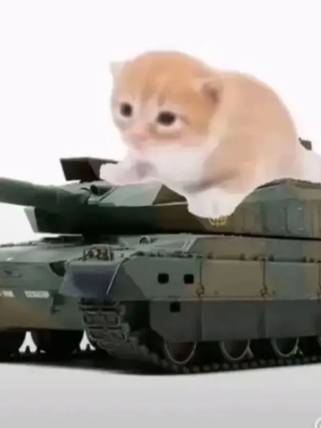 FrayedSalt7649의 子供化した君（テスト）