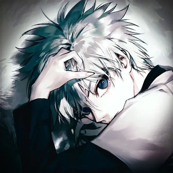FrayedTire7384의 Zoldyck estate