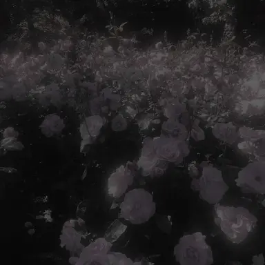 Profile image of 호시나 소우시로