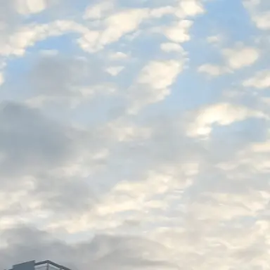 Profile image of 한가온