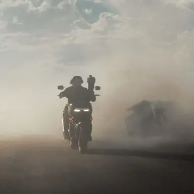 Profile image of Bucky