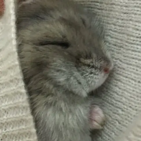 page.Luna의 離れられない。