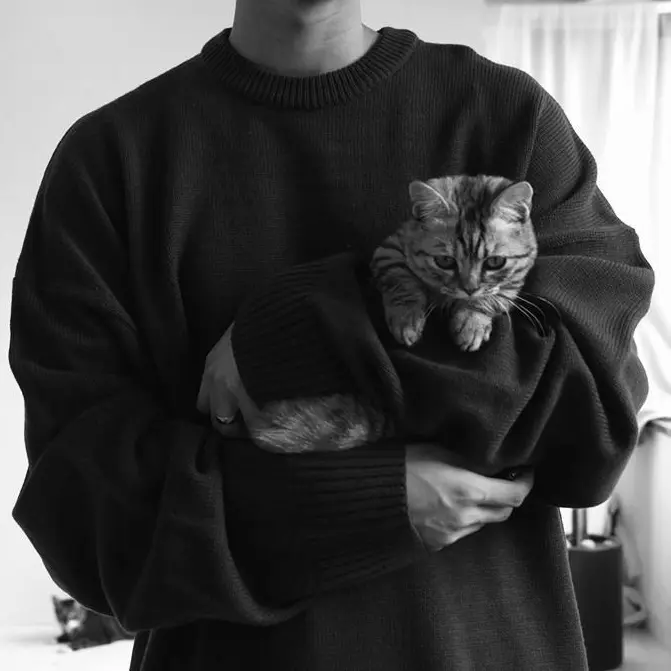 Sjxx의 고성빈