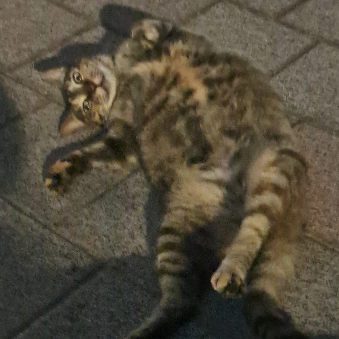 백천