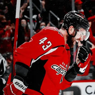 Profile image of Tom Wilson