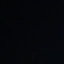 Profile image of 이서진