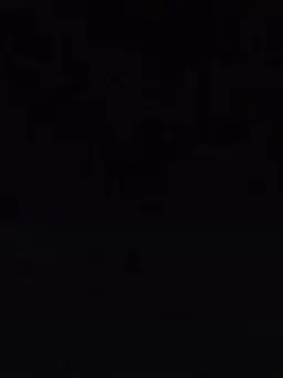 828282828의 Z태권도장