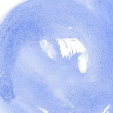 Profile image of 樹