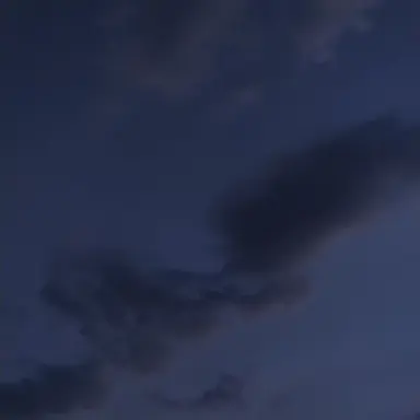 Profile image of 성한